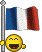 Smiley Flagge Frankreich
      42 x 52 Pixel animiert in 8 Frames
